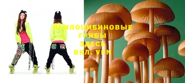 круглые Армянск