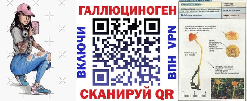 hydra маркетплейс где найти Красный Кут Галлюциногенные грибы прущие грибы
